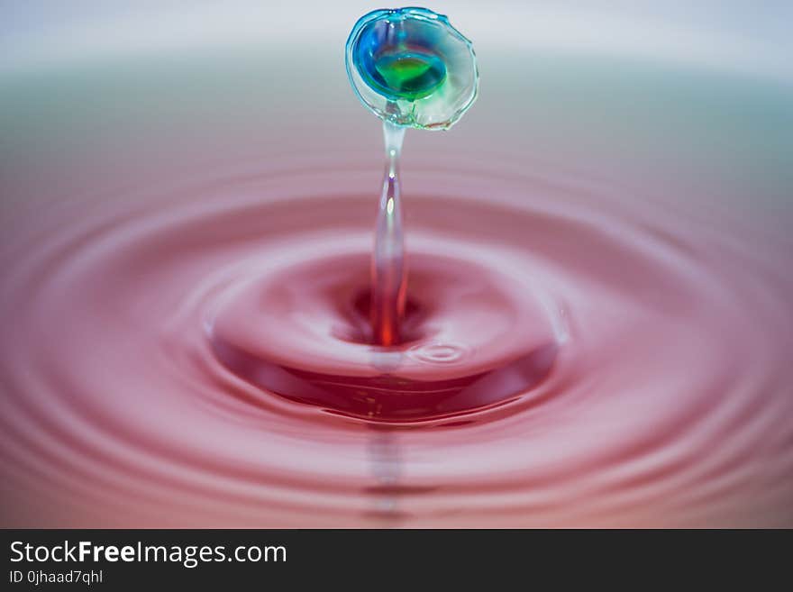 Shallow Focus Photography of Water Droplet