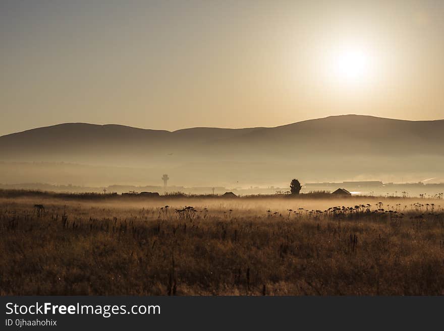 Brown Field during Sunset