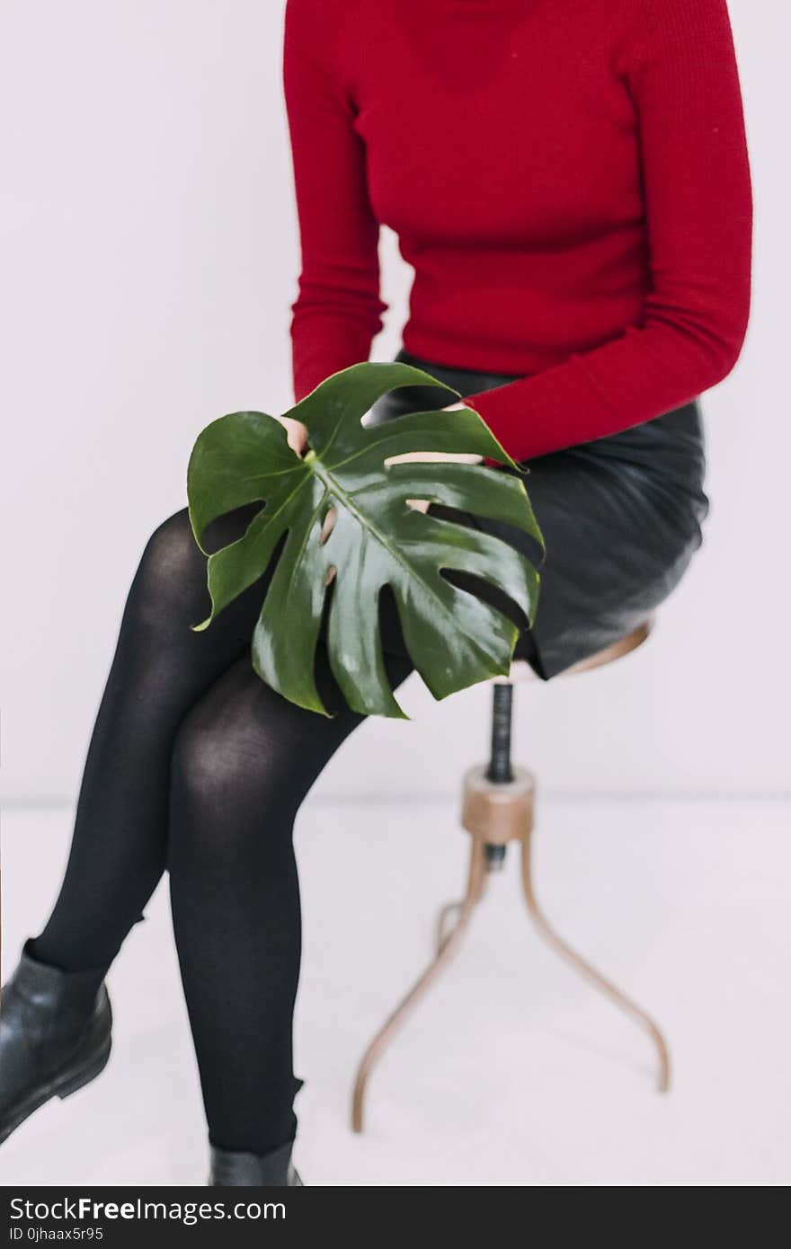 Woman in Red Sweater and Black Pants Holding Green Leaf