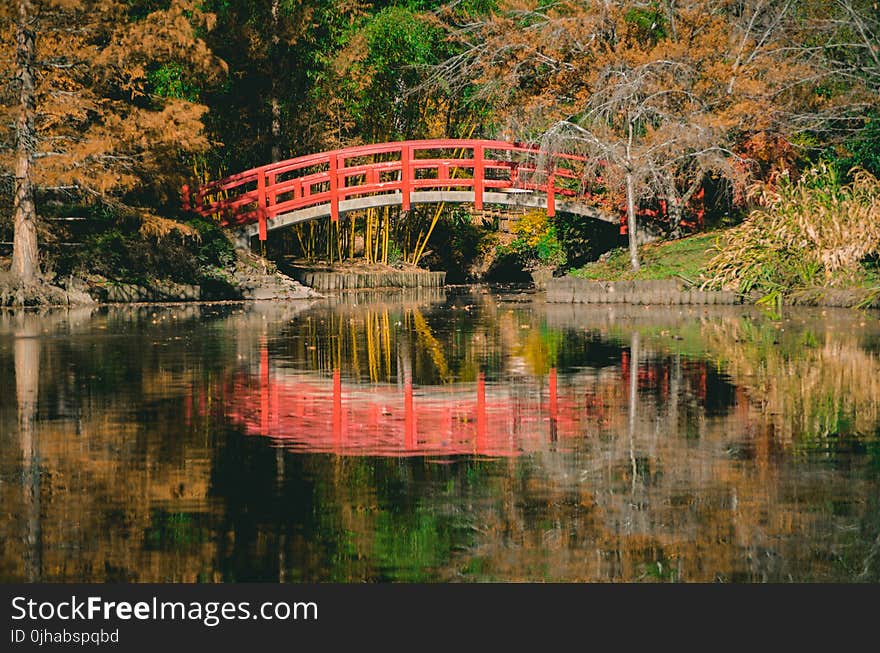 Orange and White Bridge