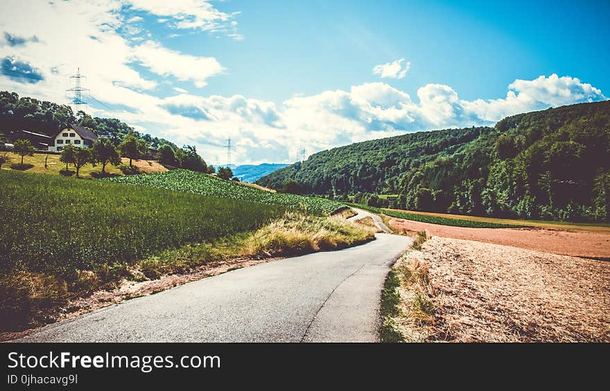 Green Field and Road in Landscape Photography