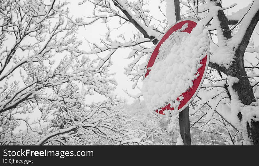 Road Signage Covered With Snow