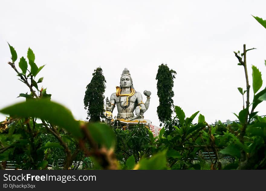 Statue on Other Side of Green Trees