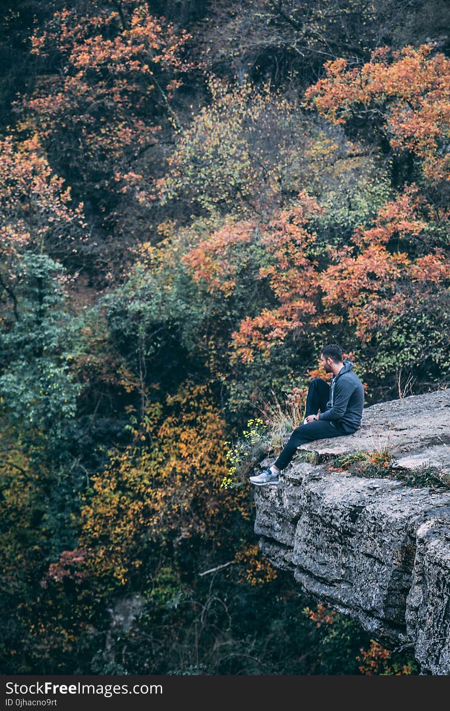 Photography of Man Wearing Black Hoodie With Black Pants Sitting on Stone Cliff Above Green and Red Leaved Forest