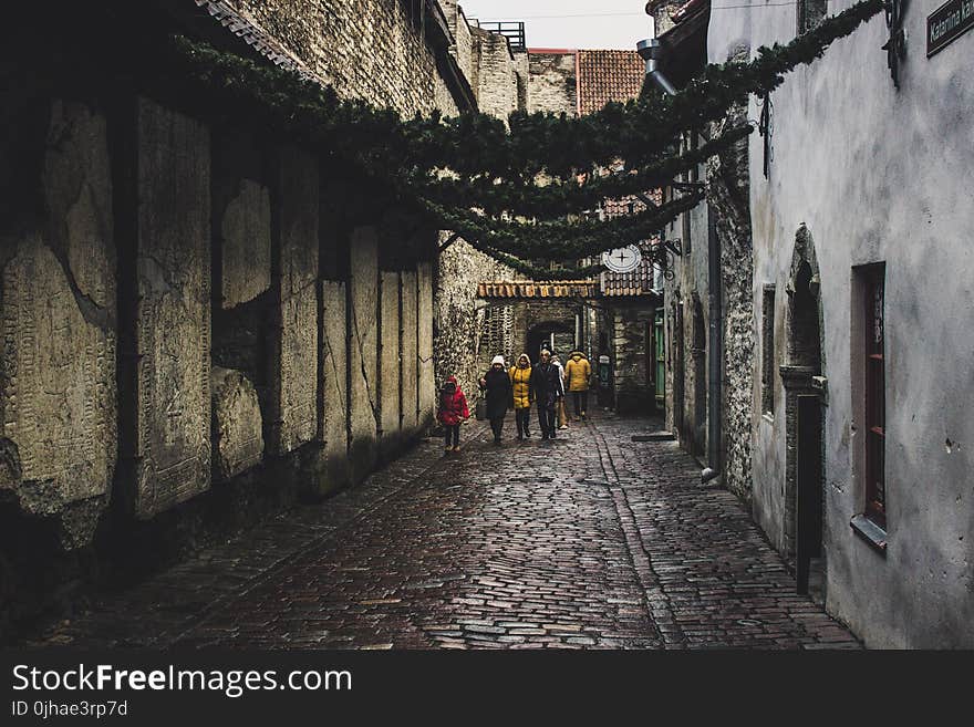 People on the Street Between Houses