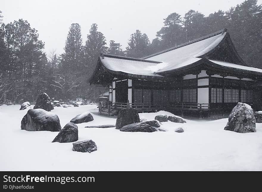 White aAnd Brown House Covered With Snow