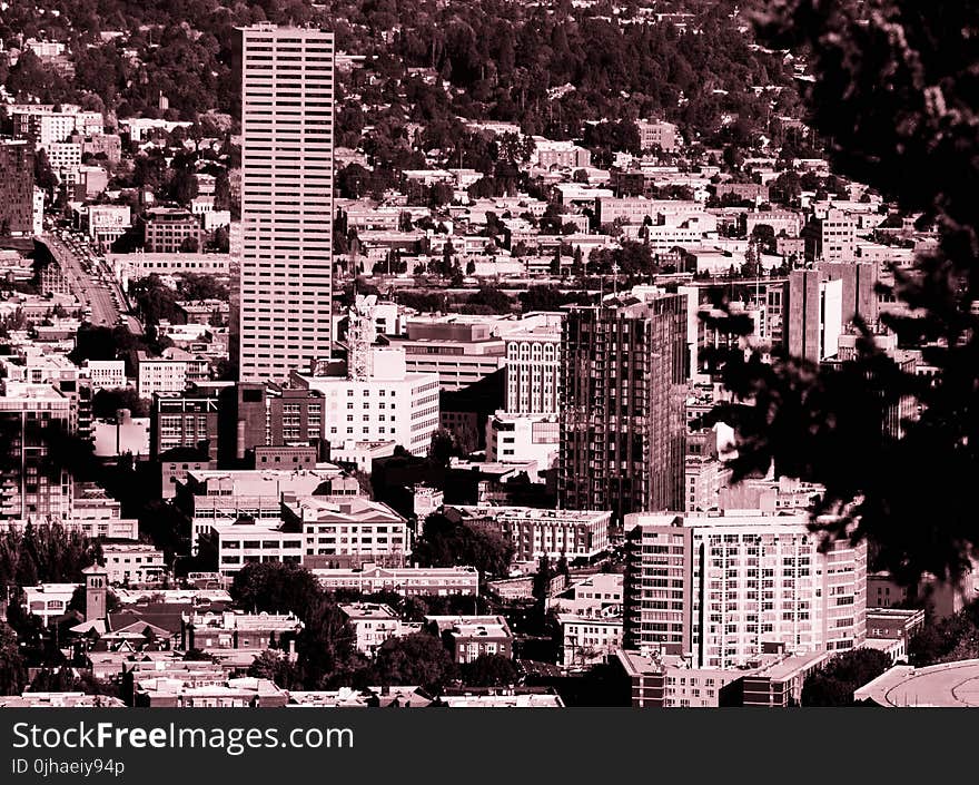 Sepia Photography of Cityscape