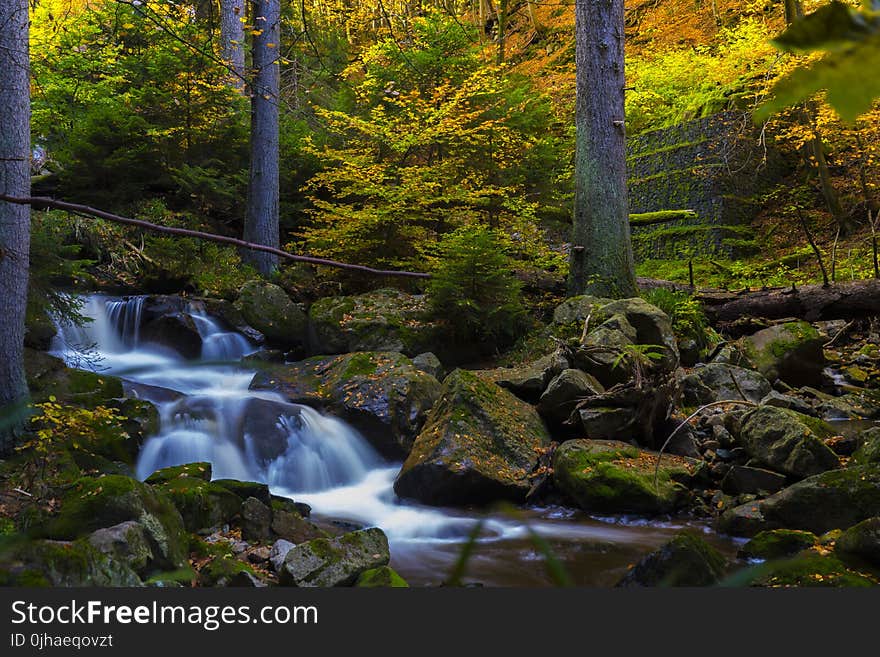 Timelapse Photography of Falls Near Trees