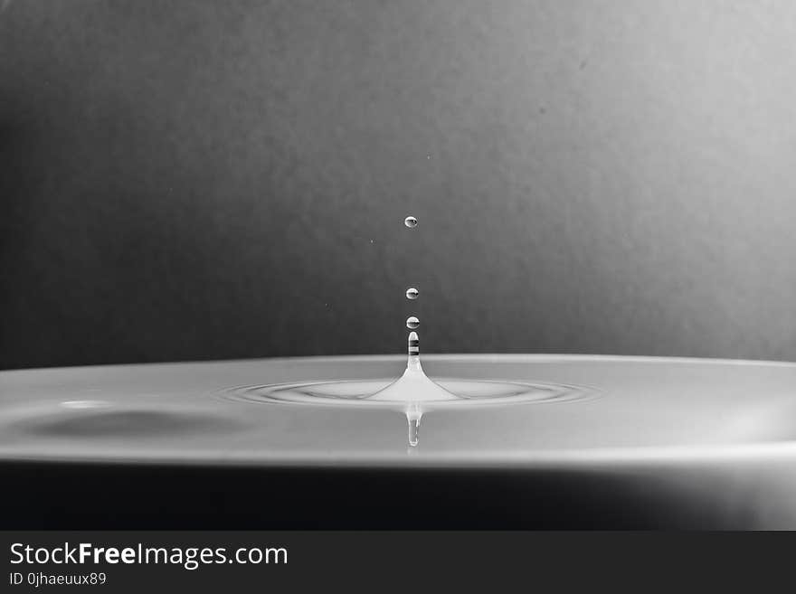 Water in Grayscale and Micro Photography