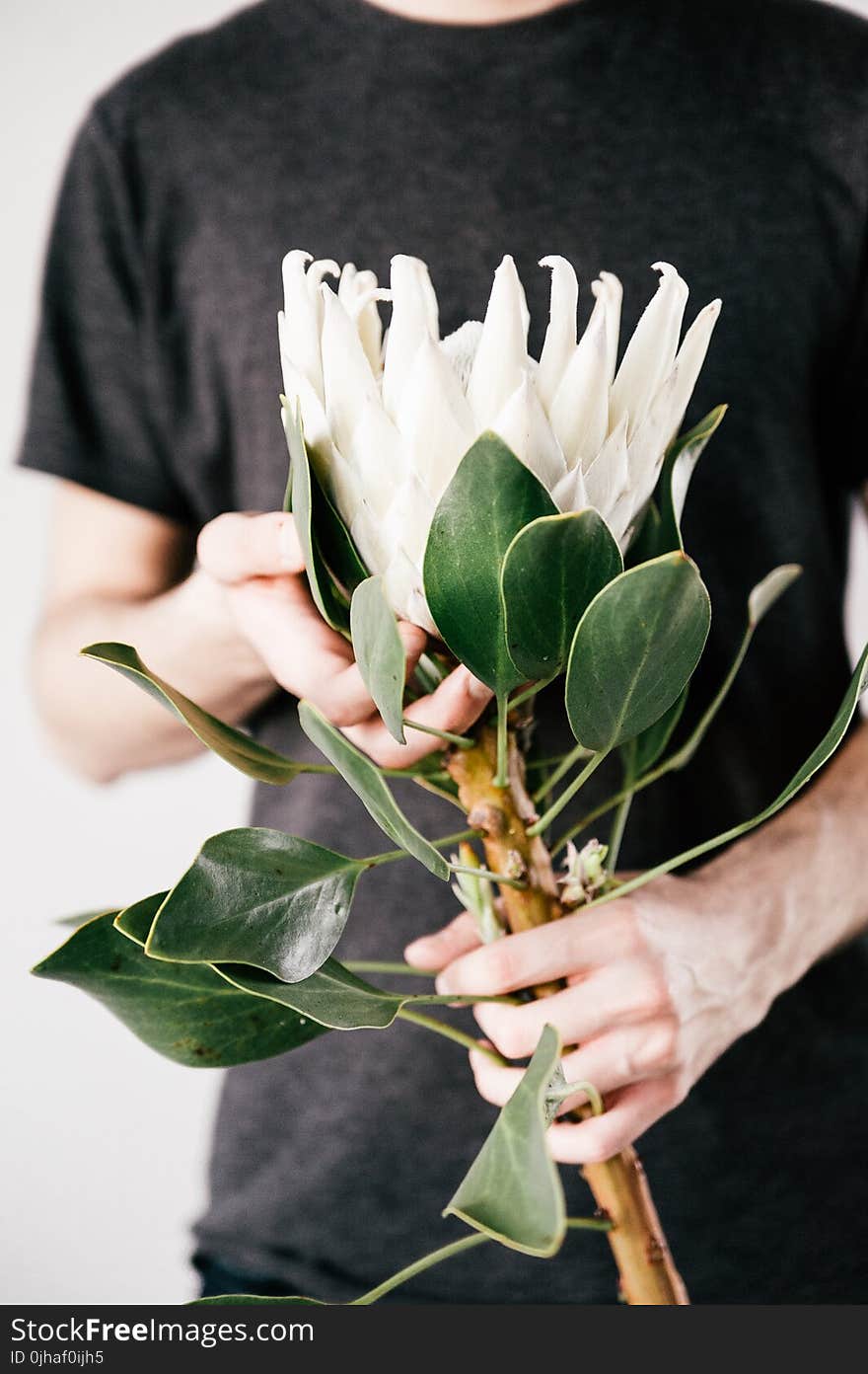 Man Holding White Petaled Flower on Bloom