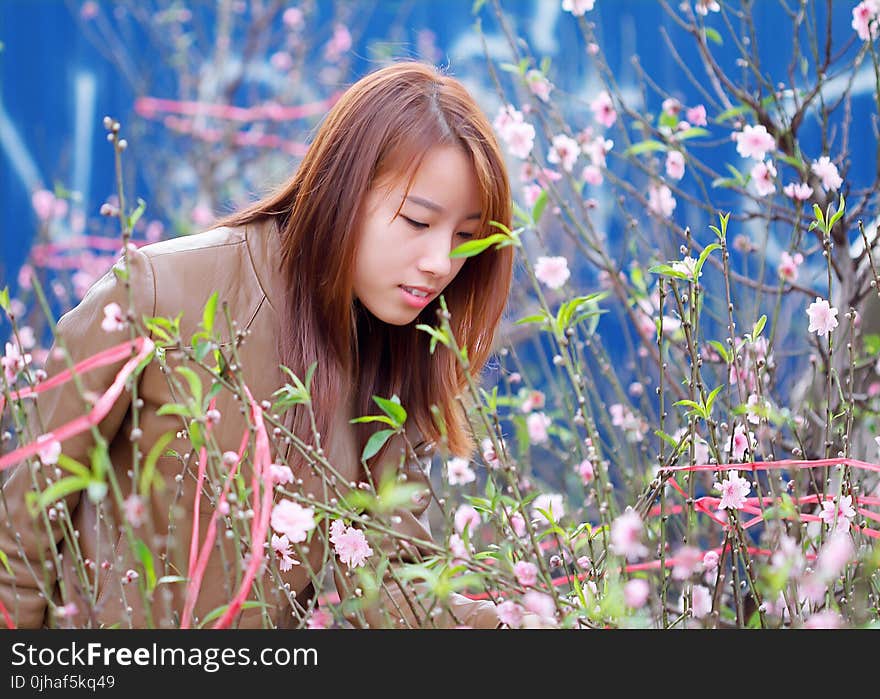 Woman Smelling The Pink Petaled Flowers