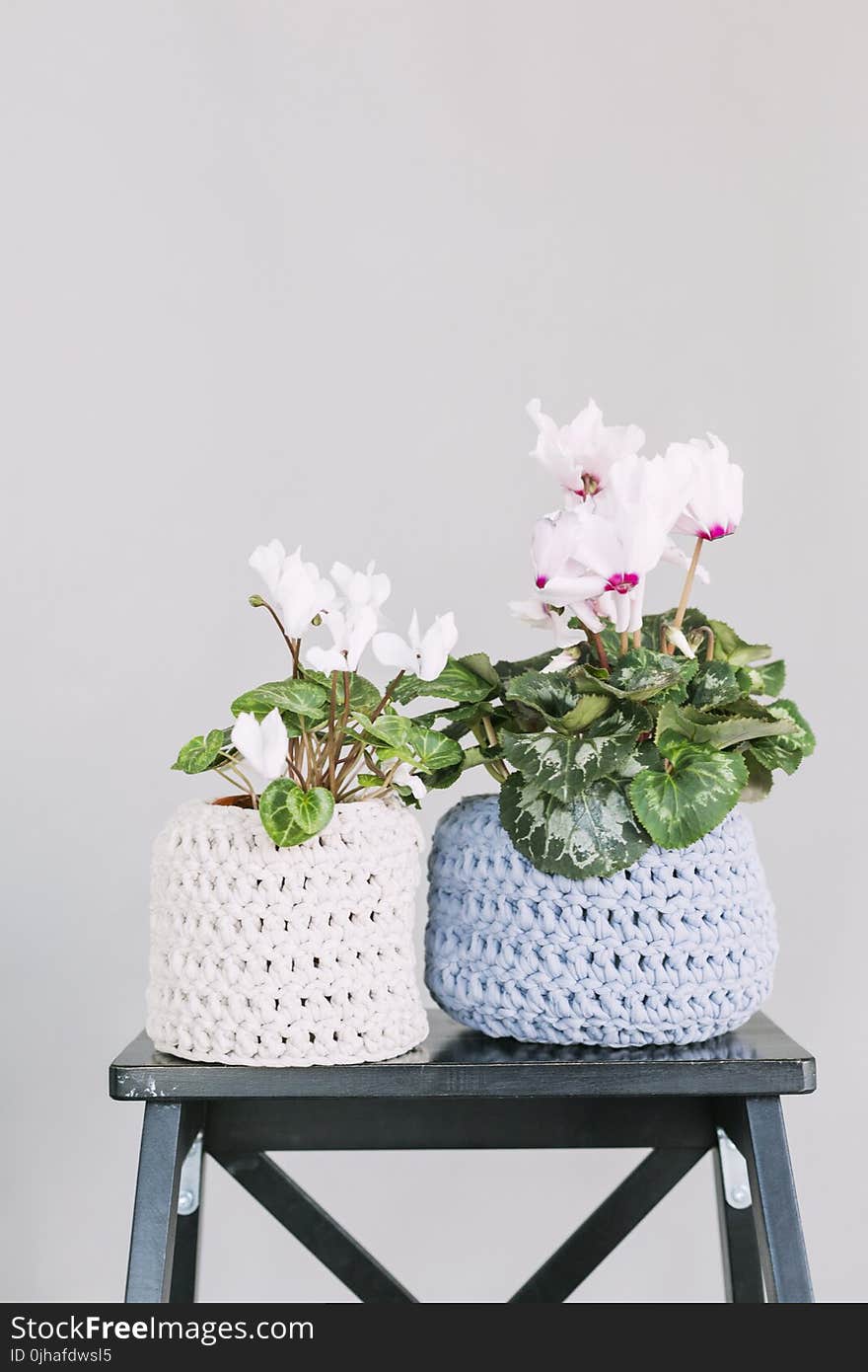 Two White and Blue Crochet Flower Pot