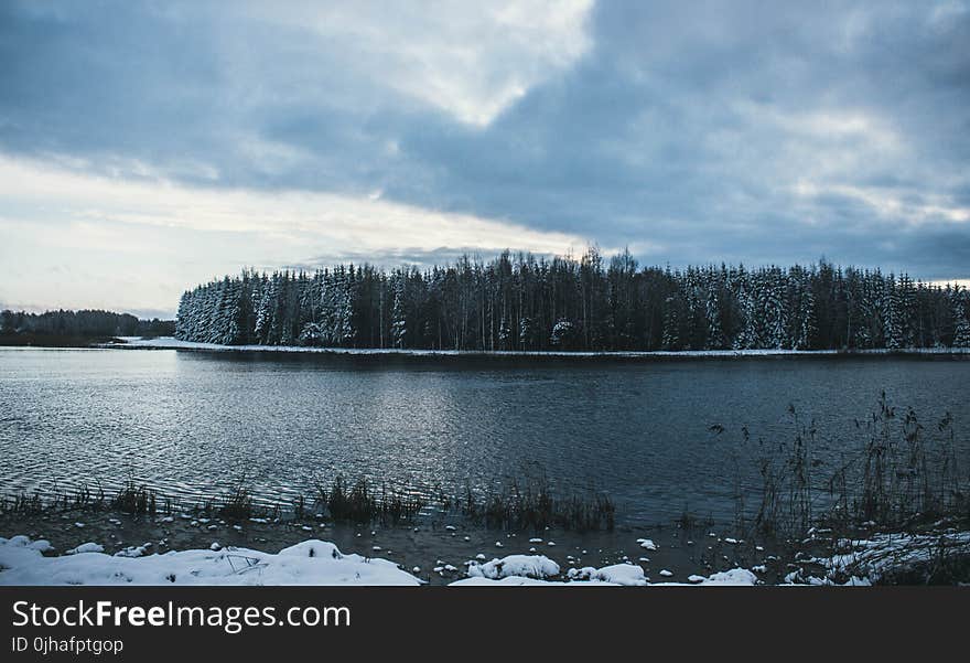 Landscape Photo of Body of Water