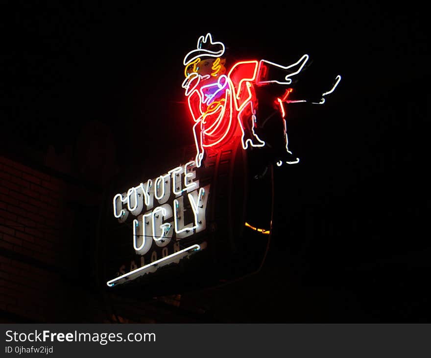 Coyote Ugly Neon Signage