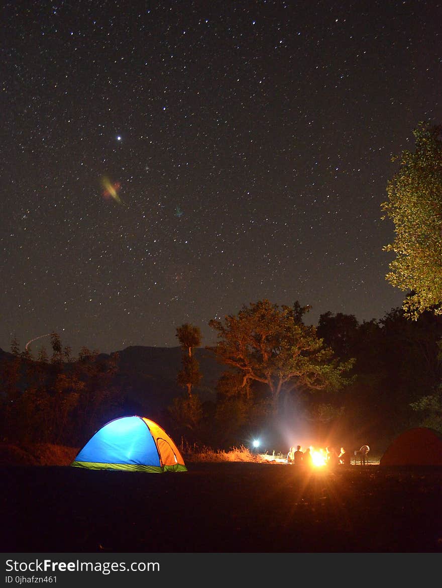 Photo of Blue and Yellow Lighted Dome Tent Surrounded by Plants during Night Time