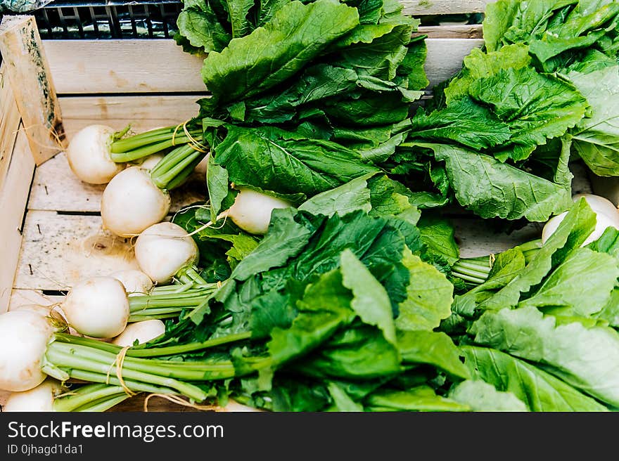 White Radishes