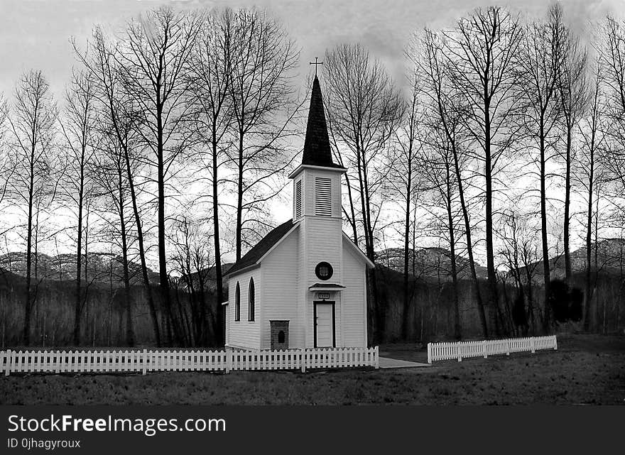 Church Behind of Bare Trees