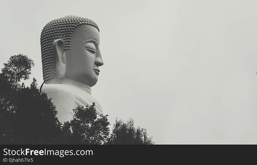 Buddha Statue Grayscale Photo