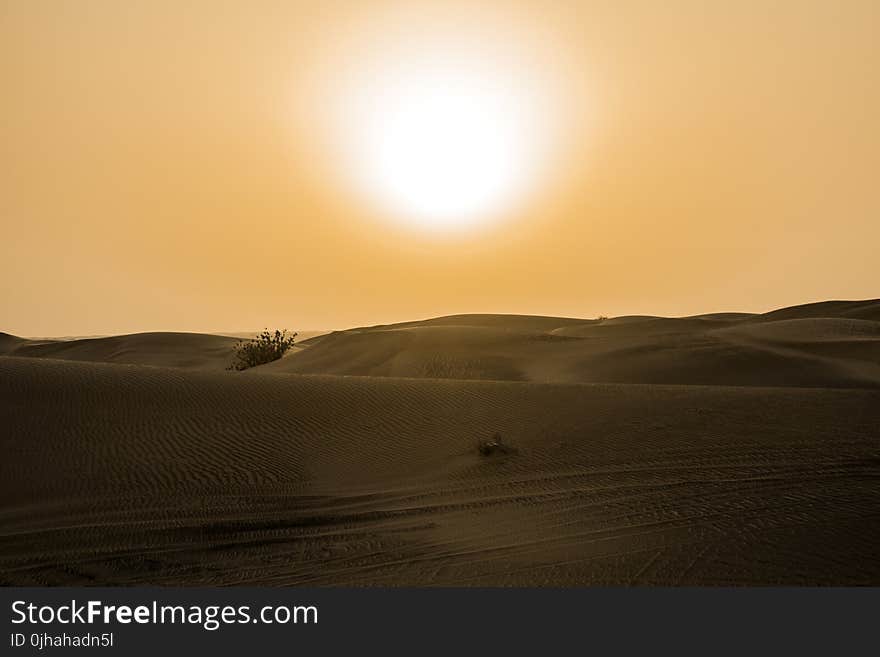 Desert Under Yellow Sunset