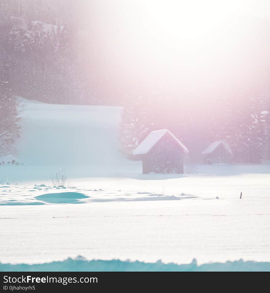 Two Brown Bungalows Above Snow Field