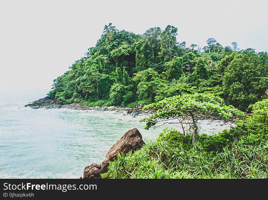 Landscape Photography of Mountain Beside Sea