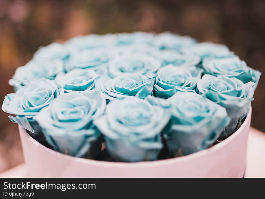 Blue Rose Bouquet Collections