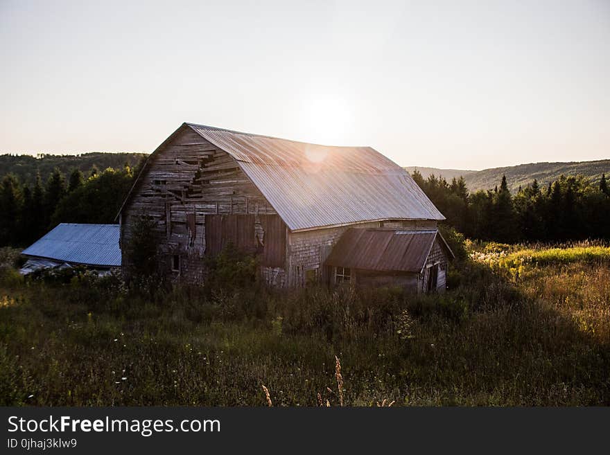 Barn Surrounded by Green Grasses