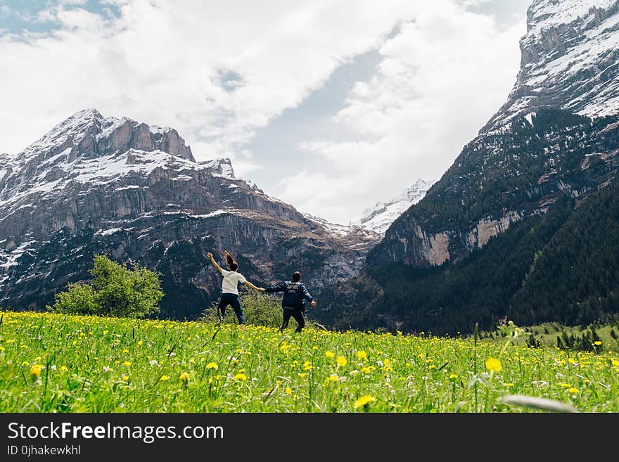 Green Grass Near Mountain