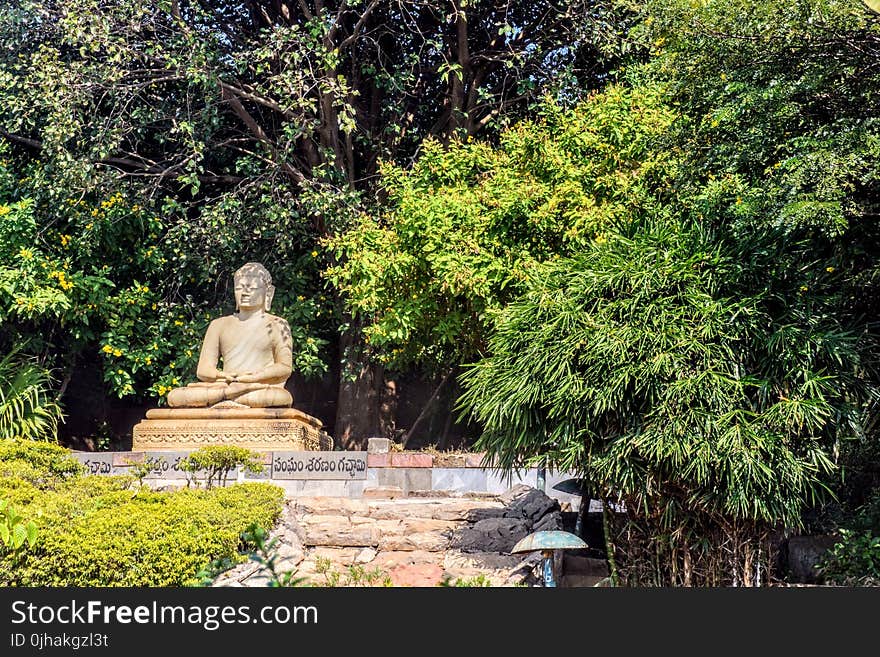 Gautama Buddha Statue in Japan