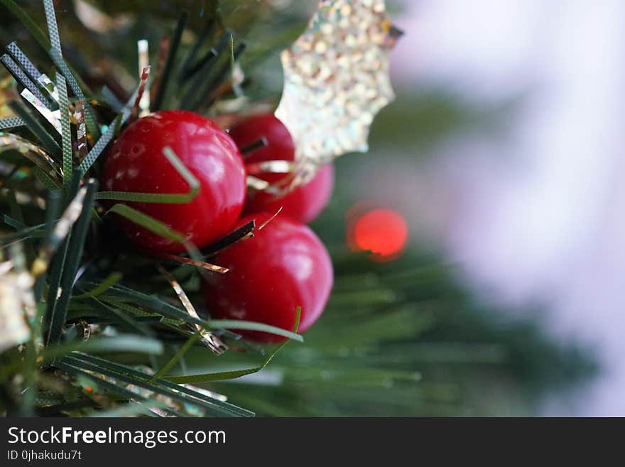 Three Round Red Fruits