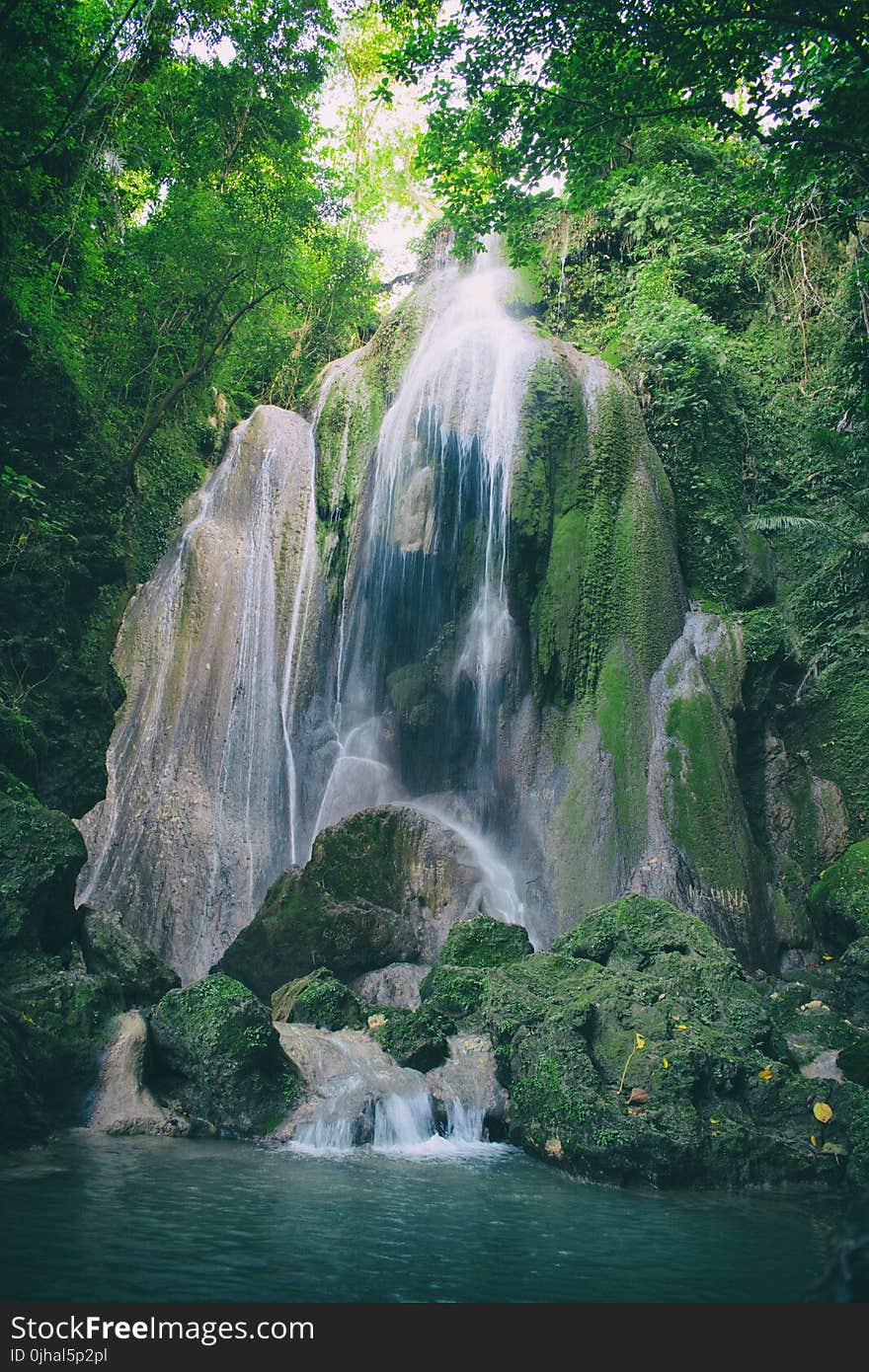 Time Lapse Photography of Waterfalls Between Tall Trees