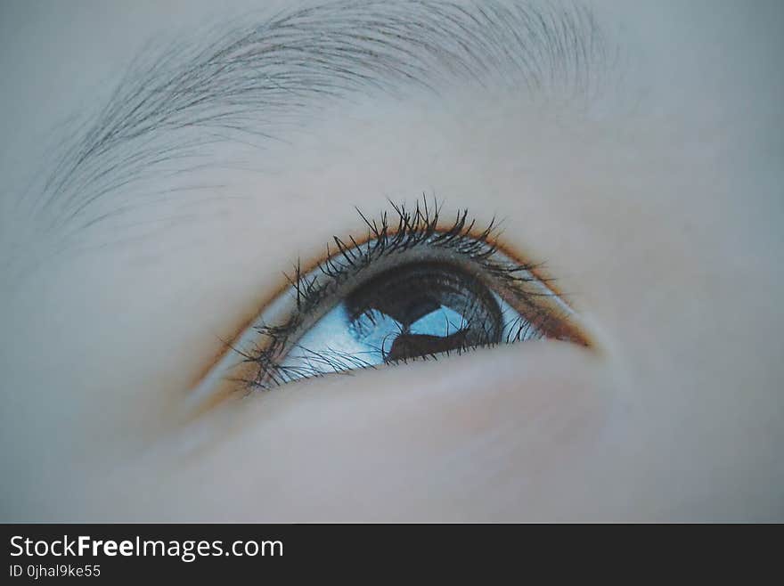 Macro Shot of Human Eye