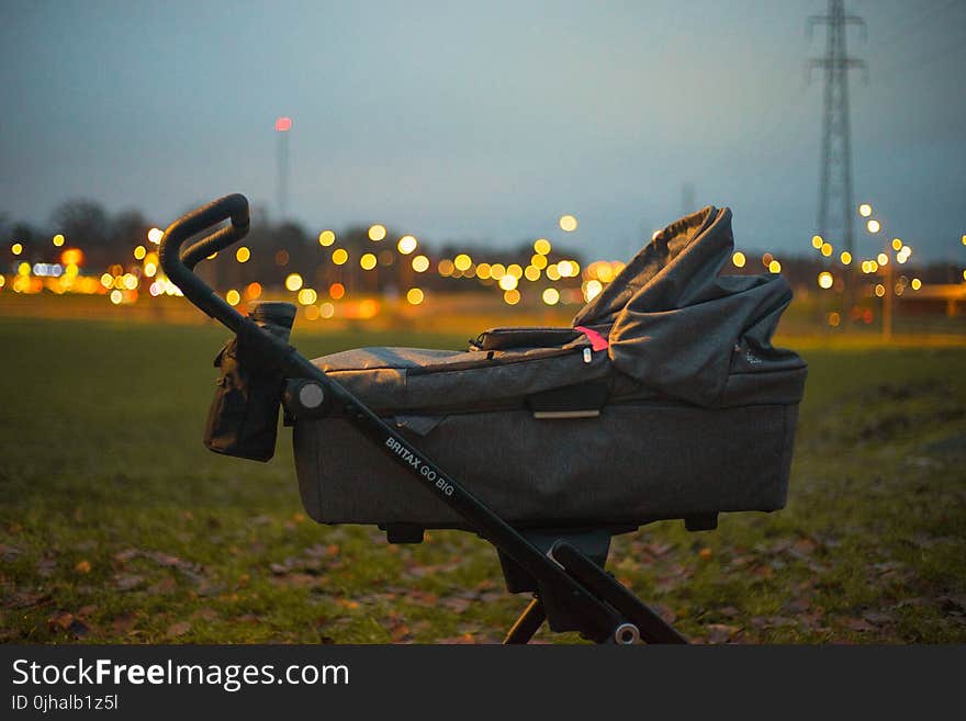 Baby&#x27;s Bassinet on Green Grass