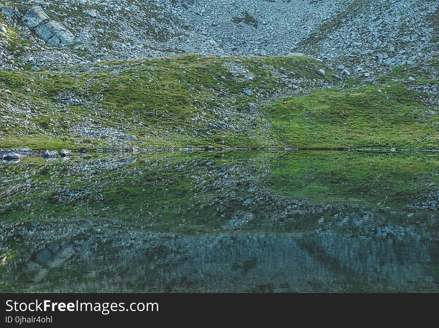 Green Grass Field Painting