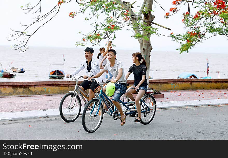 Two Boys and One Girl Riding Bicycles on Road Beside Body of Water