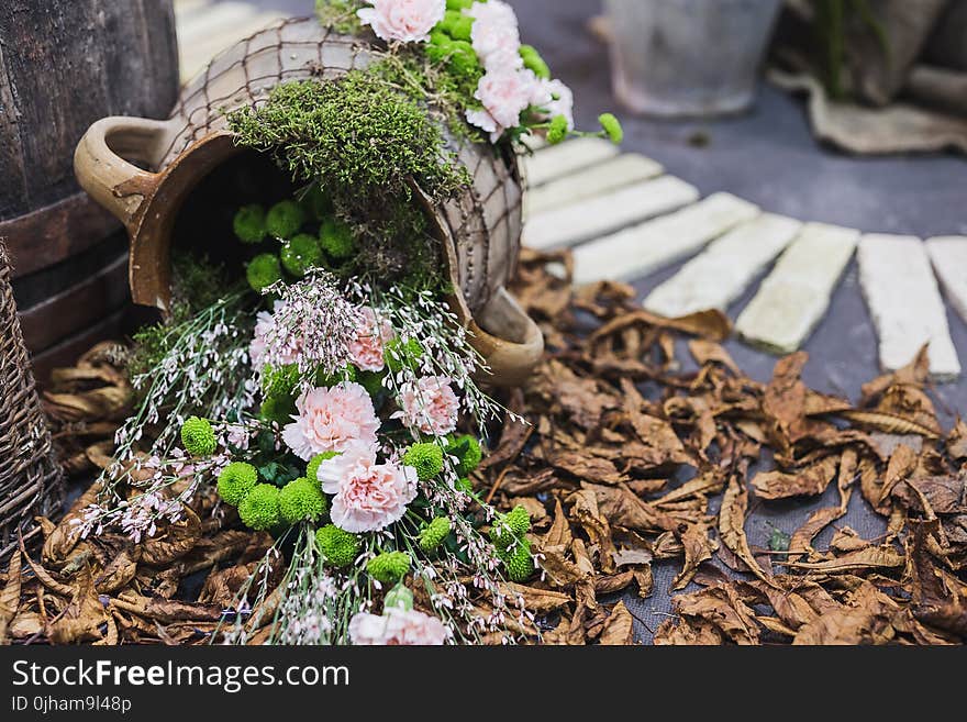 Pink Flowers In Grey Pot