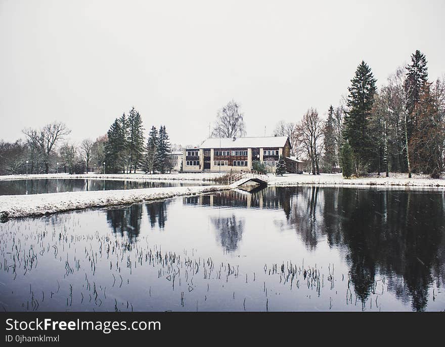 House Surrounding by Trees and Body of Water Photography