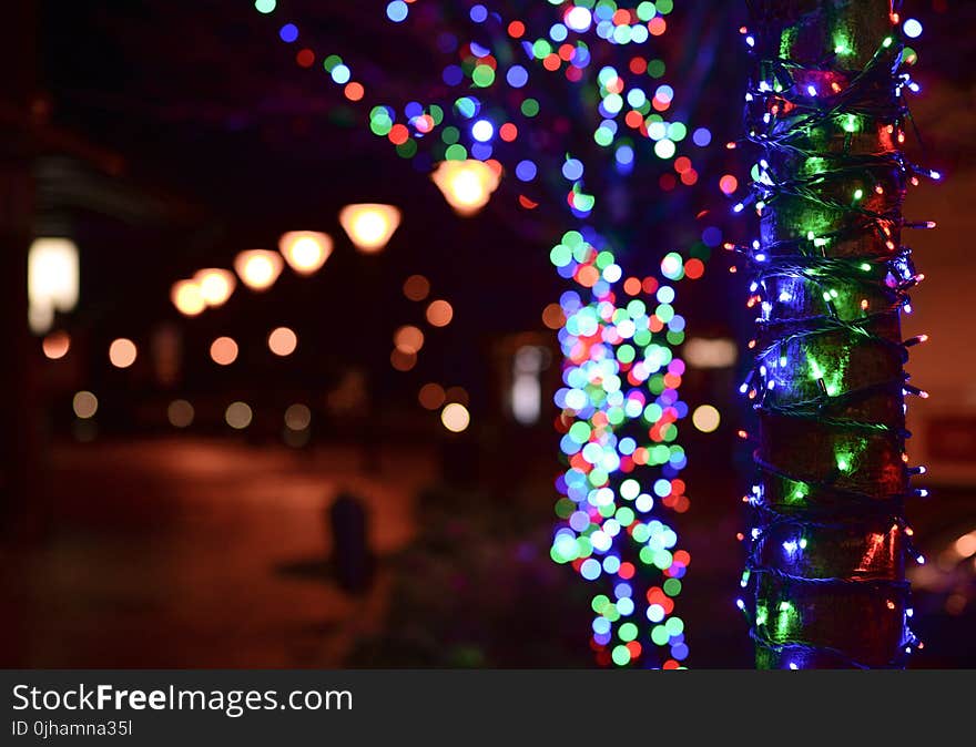 Illuminated Christmas Lights at Night