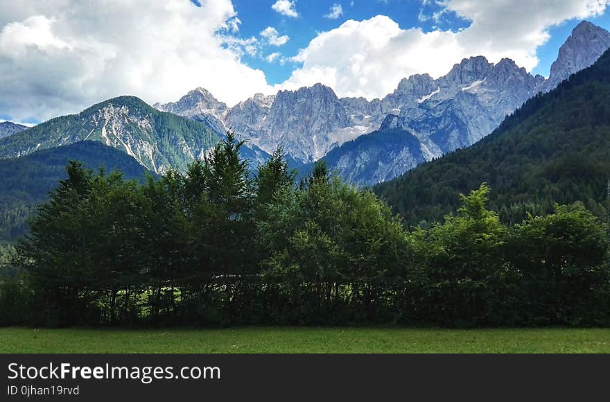 Mountain and Forest