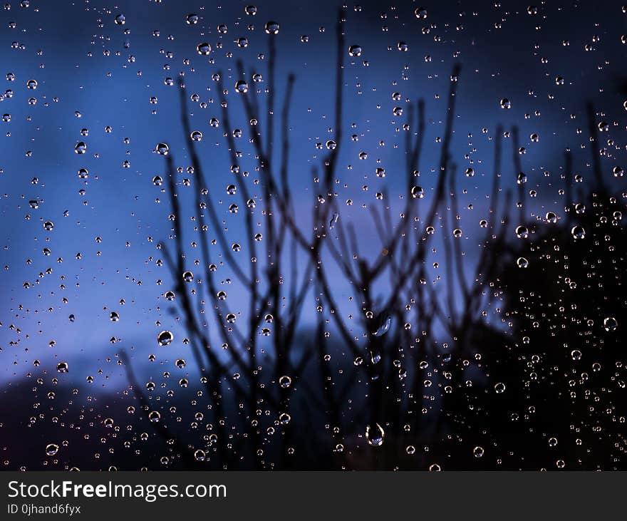 Macro Photography of Water Dew