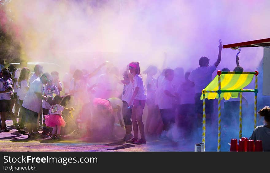 Group of People Color Powder Festival