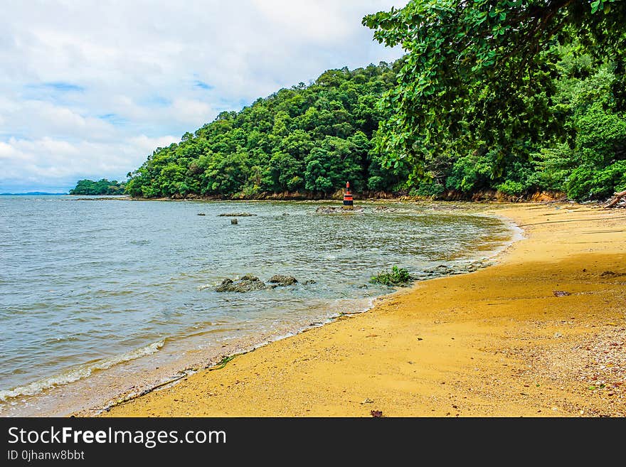 Beach Shoreline Photo