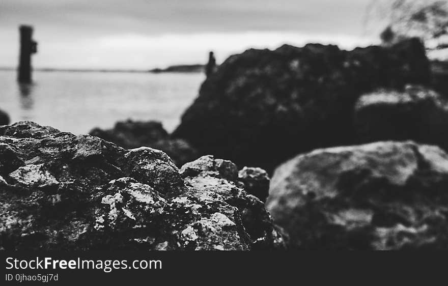 Grayscale and Selective Focus Photo of Sea Shore