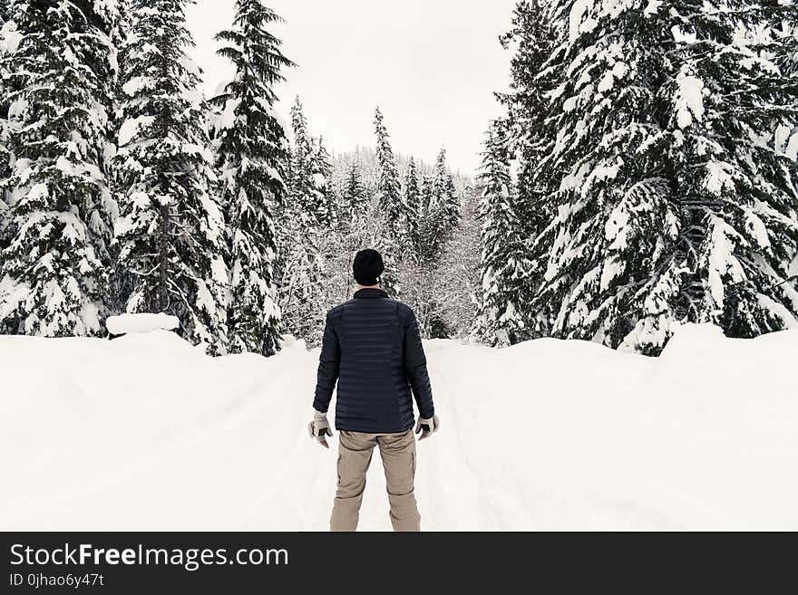 Photo of a Man in the Snowy Forest