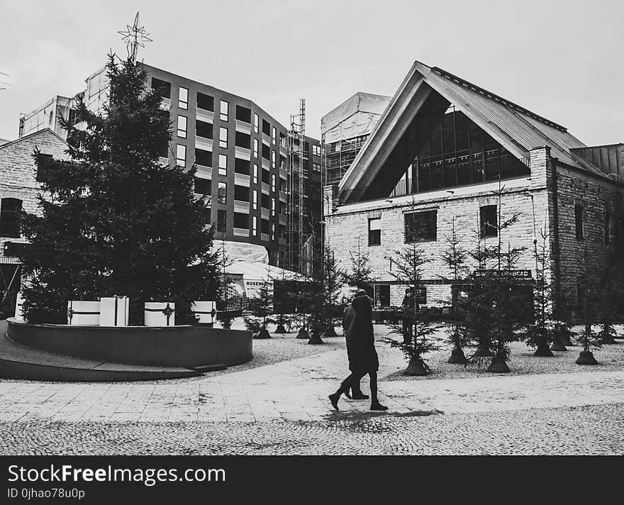 Concrete Building Photography