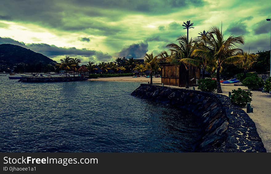 Scenic View of the Beach