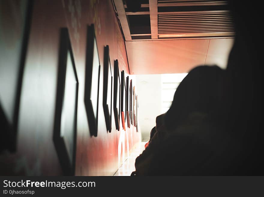 Silhouette Photo of Person Standing Near Photo Frames