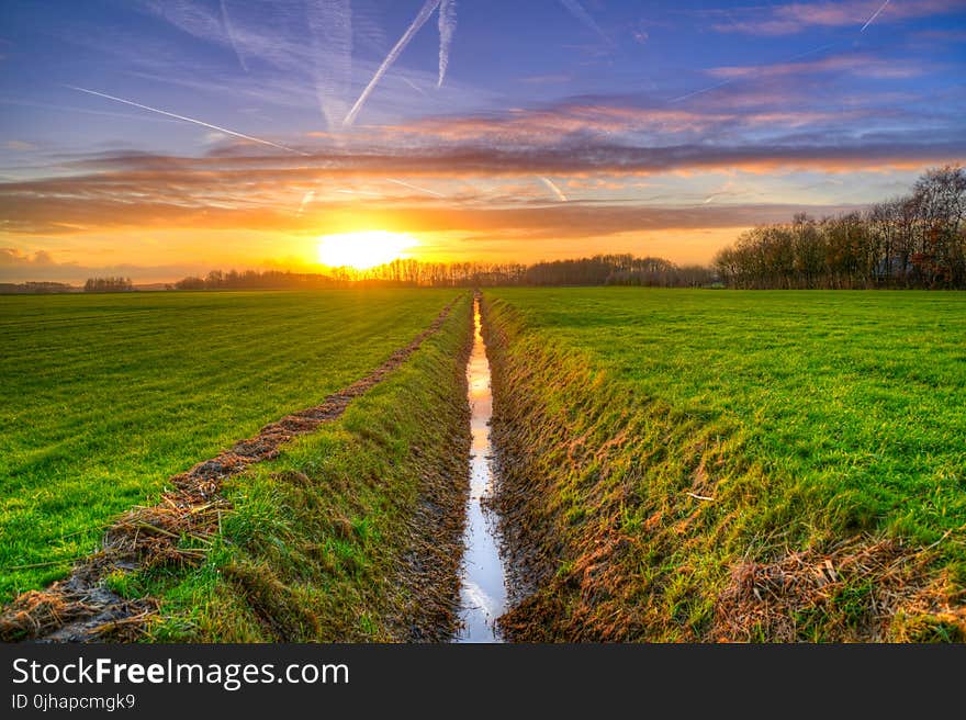 Scenic View of the Field