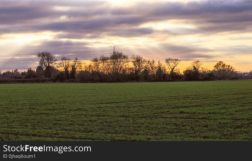 Scenic View of the Field