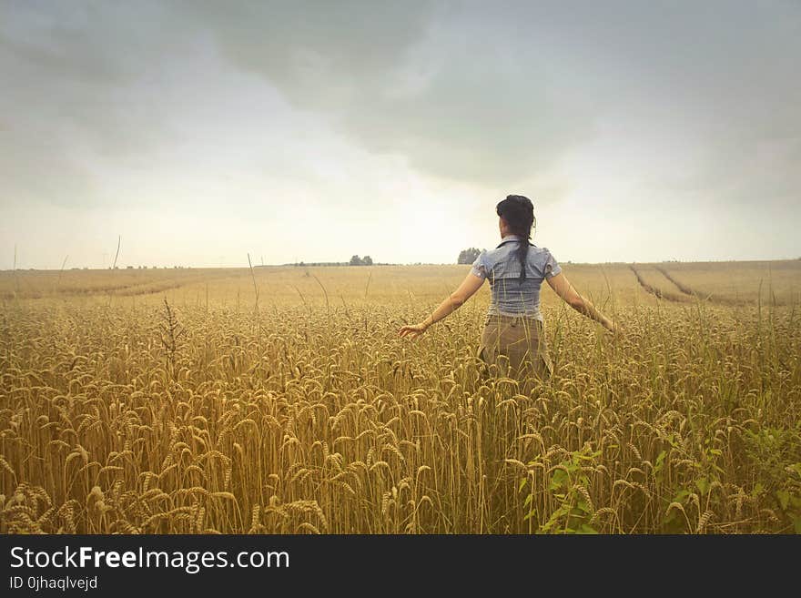 Woman Standing on Rice Field during Cloudy Day